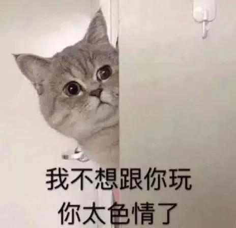相机镜头纸久久久精品人妻无码专区不卡，揭示摄影艺术背后的微细世界