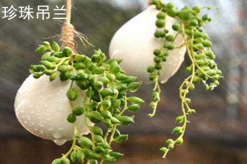 为相机镜头这么贵最新精品视频2020在线视频，解密高端光学技术的奢华价值