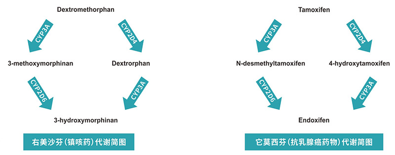 APS画幅定焦镜头国产精品视频不是精品我不发，解锁摄影艺术的无限可能